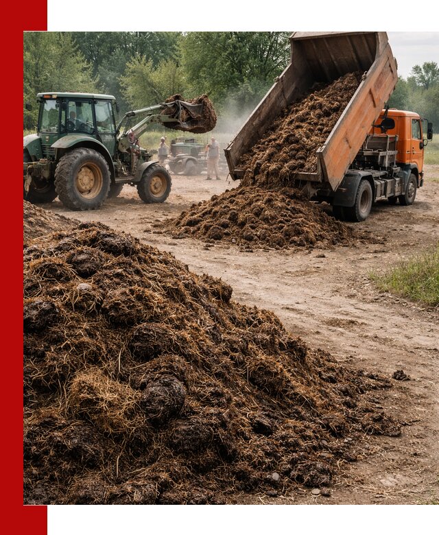 Доставка навоза самосвалами в Тутаеве для сельхозпотребностей